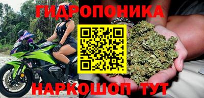 индика Уссурийск
