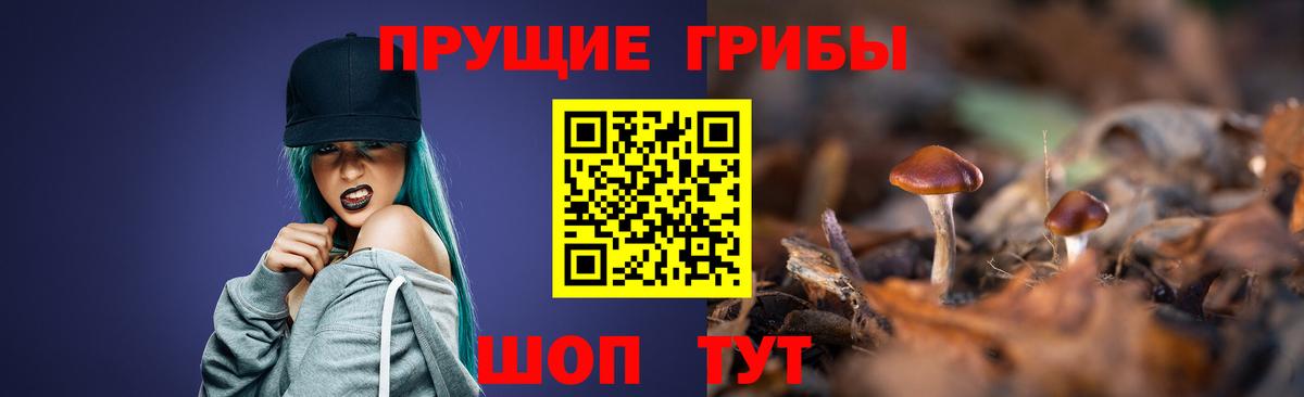 Псилоцибиновые грибы мицелий  Вход с VPN  Галлюциногенные грибы прущие грибы  наркота  Миллерово 